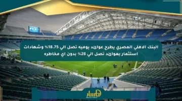 البنك الأهلي المصري يطرح عوائد يومية تصل إلى 18.75% وشهادات استثمار بعوائد تصل إلى 28% بدون أي مخاطرة